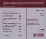 Brahms Johannes / u.a. - String Quartets (Mandelring Quartett)