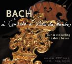 Bach Johann Sebastian - À Cembalo È VIola Da Gamba (Rainer Zipperling (Viola Da Gamba / Bwv 1027-1030B)