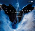 Wagner - Franck - Rousseau - Bruckner - Liszt - Confluences (Maurice Clement (Orgel)