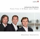 Brahms J. - Piano Trios In B Major And C Major (Muenchner...