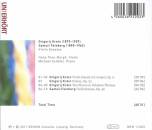 Krein / Feinberg - Violin Sonatas (Then-Bergh Ilona / Schäfer Michael)