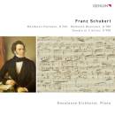 Schubert Franz - Wanderer-Fantasie: Moments Musicaux:...