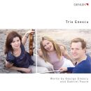 Enescu George / Faure Gabriel - Piano Trios (Trio Enescu)