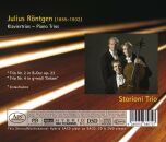 Julius Röntgen - Klaviertrios: Piano Trios (Storioni Trio)