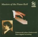 Schubert Franz / u.a. - Paderewski Plays Paderewski...