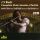 Bach Johann Sebastian - Complete Flute Sonatas & Partita (Jennifer Stinton (Flöte) - David Wright (Cembalo))