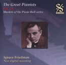 Diverse Komponisten - Great Pianists: Vol.14, The (Ignace Friedman (Piano / Masters of the Piano Roll Series)