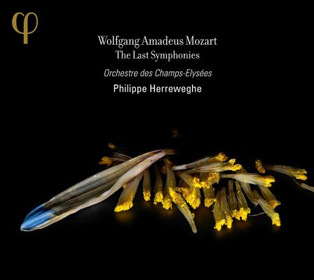 Mozart Wolfgang Amadeus (1756-1791) - Last Symphonies, The (Orchestre des Champs-Elysées)