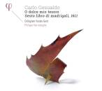 Gesualdo Carlo - Madrigali A Cinque Voci, Libro Sesto...