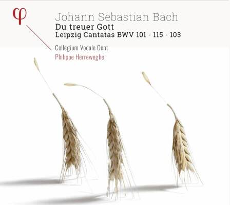 Bach Johann Sebastian - Du Treuer Gott (Collegium Vocale Gent / Herreweghe Philippe)