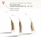 Bach Johann Sebastian (1685-1750) - Du Treuer Gott...