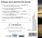 Bach/Hoffmann/Telemann - Schlage Doch Gewünschte Stunde-Kantaten (Sämann/Guillon/Ponseele/Il Gardellino/+)
