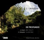 Bach/Graupner - De Profundis-Kantaten Bwv 131 & 177 / Kant (Ponseele/Il Gardellino/+)