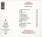 Brahms Johannes - Chamber Music (Riebl Thomas / Avenhaus Silke)