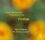 Tromboncino / Franciscus Bossinensis / Isaac- u.a. - Frottole (Ulrike Hofbauer (Sopran) - The Modena Consort / Songs from the courts of Renaissance Italy)