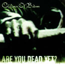 Children Of Bodom - Are You Dead Yet? (International...