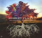 Plant Robert - Digging Deep:subterranea