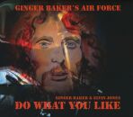 Ginger Bakers Air Force - Do What You Like