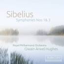 Sibelius Jean - Symphonies Nos 1 & 3 (Hughes Owain...