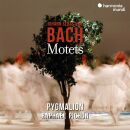 Bach Johann Sebastian - Motets (Pichon Raphael / Pygmalion)