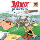 Asterix - 35: ASTERIX BEI DEN PIKTEN