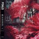 Foals - Everything Not Saved Will Be Lost Pt. 1