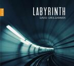 Diverse Klavier - Labyrinth (Greilsammer David)