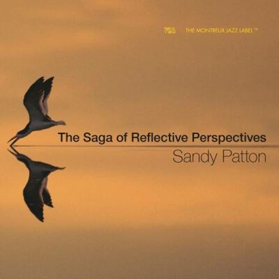 Patton Sandy - Saga Of Reflective Perspectives