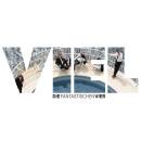 Fantastischen Vier, Die - Viel