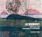Schubert Franz - Trio Opus 100, Sonatensatz & Notturno (Busch Trio)