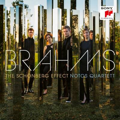 Brahms Johannes - Schoenberg Effect, The (Notos Quartett)