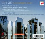 Brahms J. - Schoenberg Effect, The (Notos Quartett)