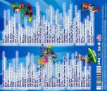 Various Artists - Ballermann Ski Hits Top 100: 2021