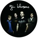 Gin Blossoms - Oriental Beat