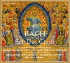 Bach Johann Sebastian - Soli Deo Gloria (Pierlot / Ricercar Consort / Collegium Vocale Gent)