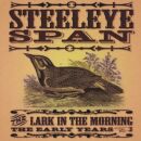 Steeleye Span - Lark In Morning: Early Years, The