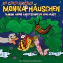 Kleine Schnecke Monika Häuschen, Die - 49: Warum...