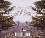 Dico Tina - Fastland