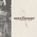 Waxflower - We Might Be Alright
