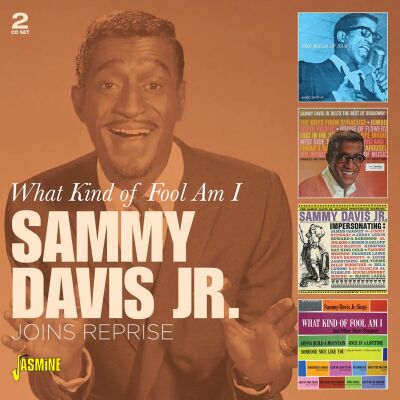 Davis Sammy Jr. - What Kind Of Fool Am I