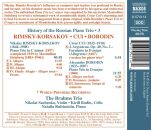 Rimsky-Korsakov Nikolai / Cui Cesar / Borodin Alexander - History Of The Russian Piano Trio: 3 (Brahms Trio, The)