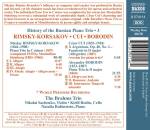 Rimsky-Korsakov Nikolai / u.a. - History of the Russian Piano Trio - 3 (Brahms Trio, The)