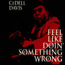 Davis Cedell - FEEL LIKE DOIN´ SOMETHING