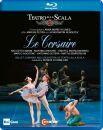 Adam - Pugni - Delibes - Drigo - Oldenburg - Le Corsaire (Ballet Company & Orchestra of Teatro alla Scala / Blu-ray)