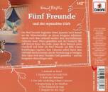 Fünf Freunde - 142/und der mysterioese Dieb