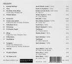 Brass Band Berner Oberland - Fuer immer uf di