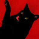 Adams Ryan - Big Colors