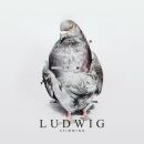 Stimming - Ludwig