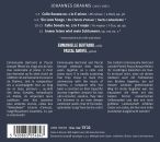 Brahms Johannes - Sonatas Und Liebeslieder (Bertrand/Amoyel)