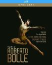 Delibes - Jarre - Salvatori - Art Of Roberto Bolle, The...